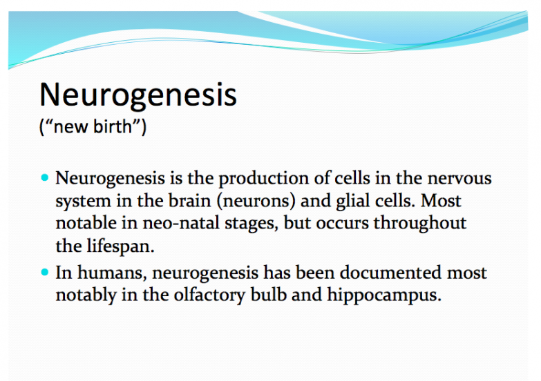 Neurogenesis