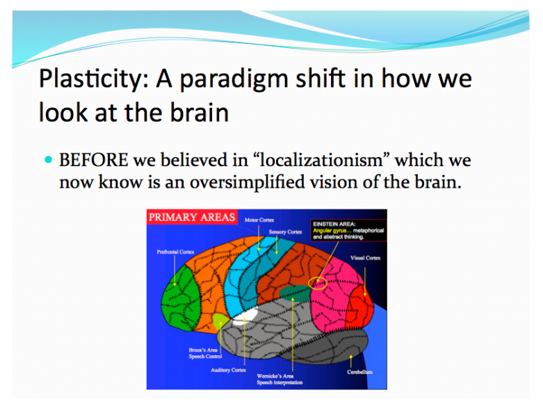 Plasticity B