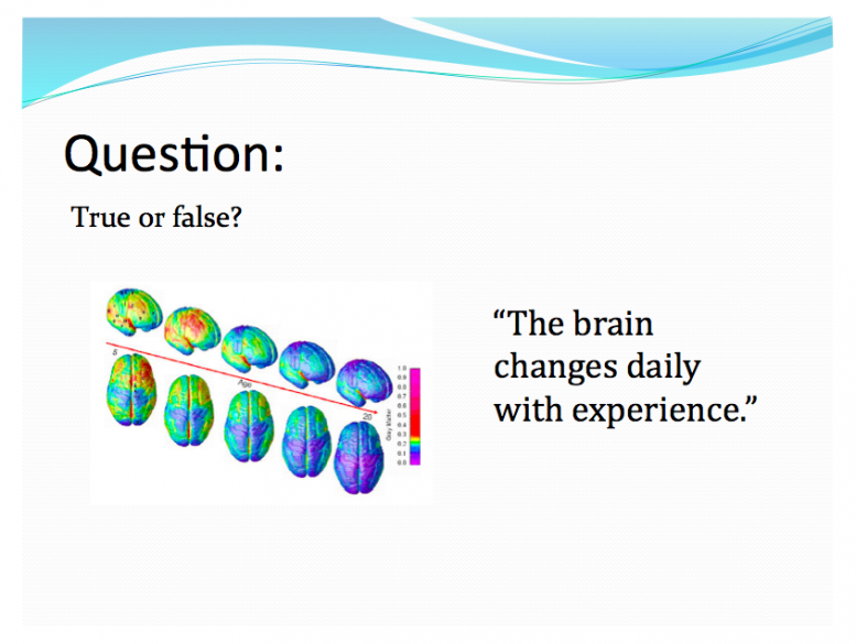 Brain Changes