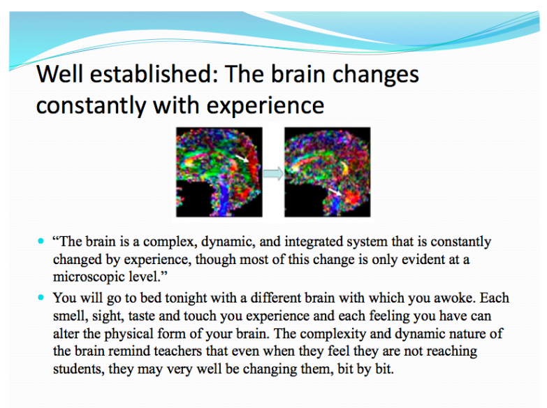 Brain Changes A
