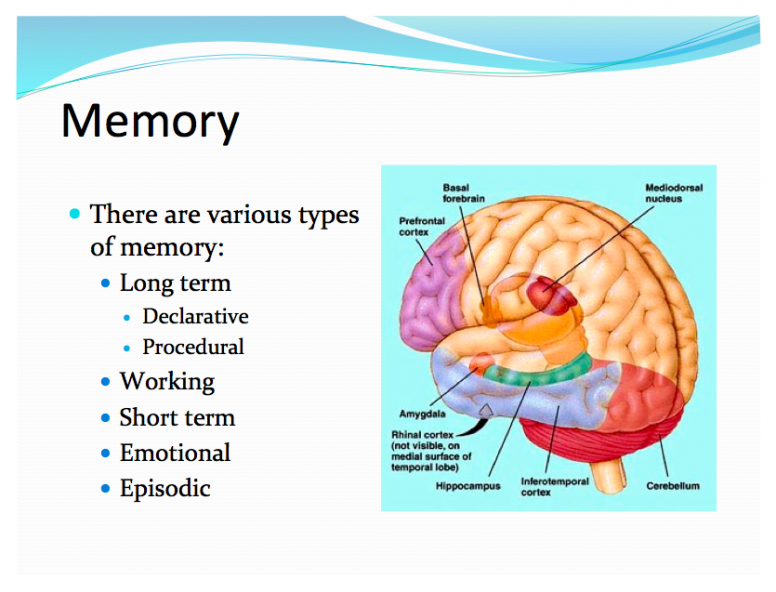 Memory Types