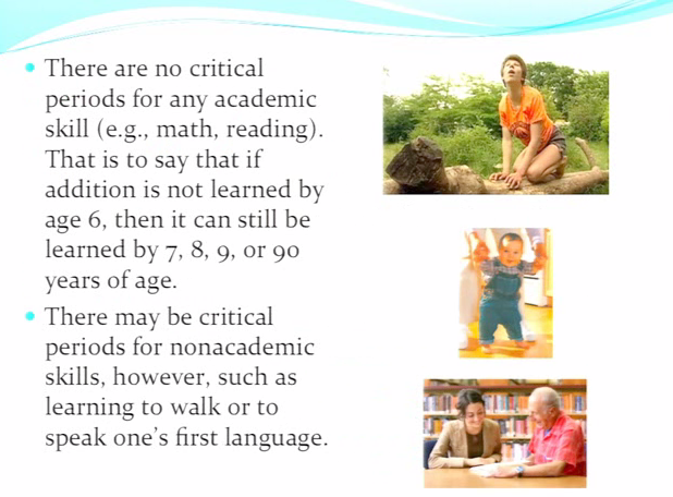 Critical periods 3