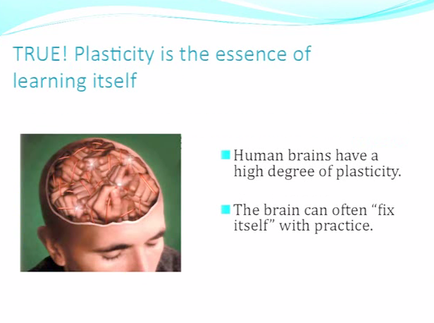 Plastice2
