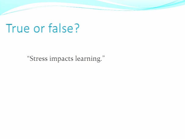 Stress 1