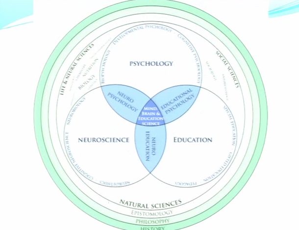 TTEVennDiagram